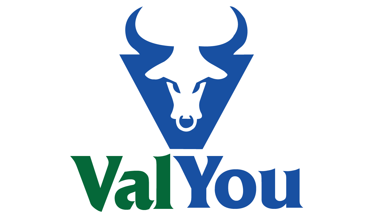 ValYou OTT